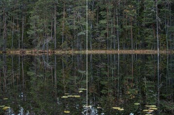 Bernhard Lang - Deep_Mirroring_Forest_011, Diptych, XL