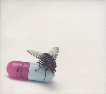 Red Hot Chili Peppers - Im With You (CD, 2011), Ophalen of Verzenden, Zo goed als nieuw