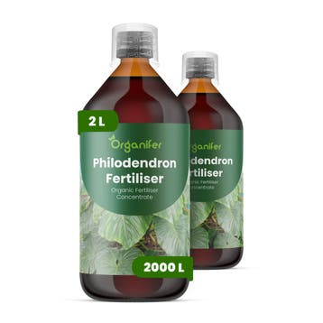 Philodendron Vloeibare meststof - Set 2x1 liter, Verzenden, Mest