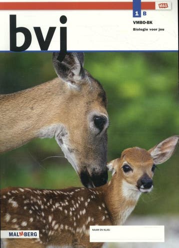 bvj / 1 vmbo-BK deel B 9789402068429, Verzenden, Gelezen