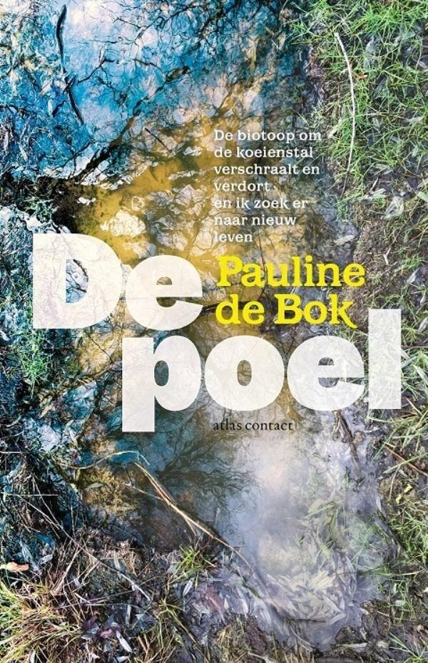 De poel (9789045040820, Pauline De Bok), Boeken, Natuur, Nieuw, Verzenden