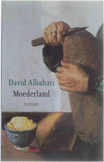 Moederland - A. David 9789054667629, Verzenden, Gelezen, A. David