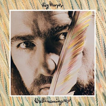 cd - roy harper - BULLINAMINGVASE (nieuw), Verzenden, Zo goed als nieuw
