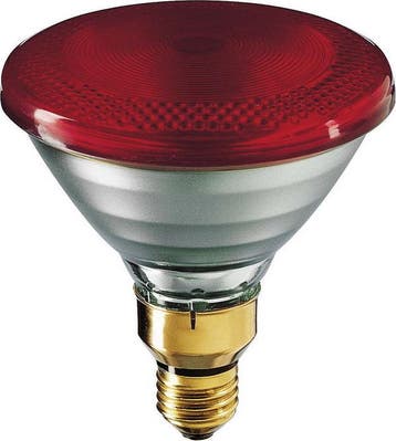 Philips Infraroodlamp PAR38 IR 100W E27 Rood warmtelamp Ø.., Ophalen of Verzenden, Nieuw