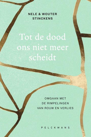 9789463837453 Tot de dood ons niet meer scheidt, Verzenden, Zo goed als nieuw, Nele Stinckens