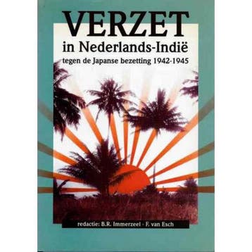 VERZET INDIE - IMMERZEEL 9789012068475, Verzenden, Zo goed als nieuw, IMMERZEEL