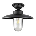 Solingen Plafondlamp Matzwart Buitenverlichting, Verzenden, Hanglamp, 50 tot 250 watt, Nieuw