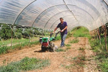 Ferrari 2-wiel tuintractor 306 5,9Pk met 46cm frees(Nieuw), Zakelijke goederen, Overige merken, Tot 2500, Nieuw, Ophalen of Verzenden
