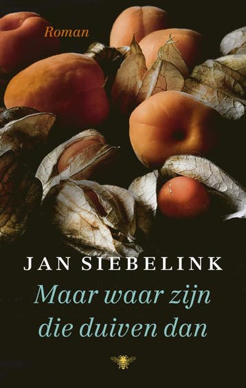 Maar waar zijn die duiven dan (Goed), Verzenden, Gelezen, Jan Siebelink