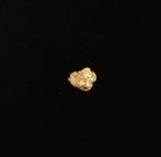 Goud Goud nugget - Hoogte: 9.09 mm - Breedte: 7.07 mm- 1.32