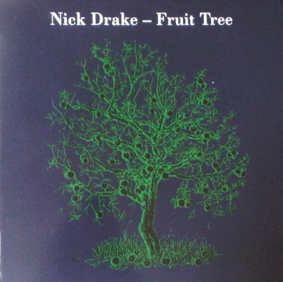 lp box - Nick Drake - Fruit Tree, Cd's en Dvd's, Vinyl | Rock, Zo goed als nieuw, Overige formaten, Verzenden