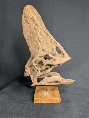 Spike the Oviraptor - Museumkwaliteit-replica - Fossiele, Verzamelen, Mineralen en Fossielen