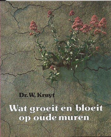 Wat bloeit en groeit op oude muren - Kruyt, Boeken, Techniek, Verzenden, Gelezen