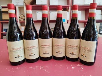 2020 Bolla - Amarone della Valpolicella - 6 Flessen (0.75, Nieuw