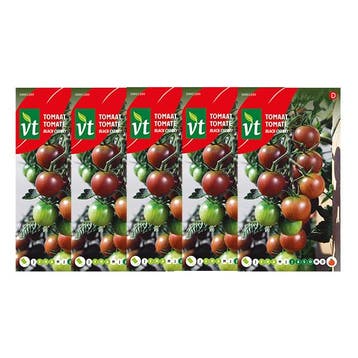 Tomatenzaad | VT | 5 stuks (Black cherry), Verzenden