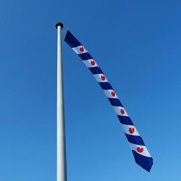 NR 462: Wimpel Friesland-400cm met stokje, Nieuw