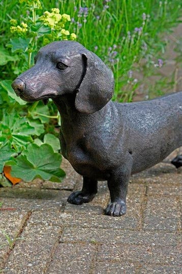 sculptuur, Lifesize Dachshund - 70 cm in length - 33 cm -
