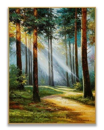 Stefano - Morning Light Through Pines