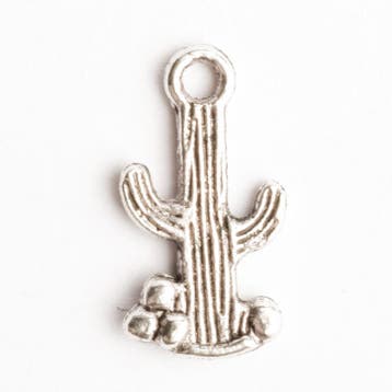 6 x metalen bedel cactus zilver kleur 19 x 10 mm oogje: 1..., Ophalen of Verzenden, Nieuw, Bedel