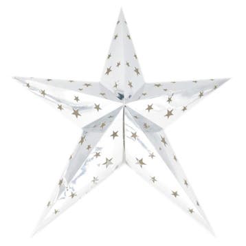 Zilveren kerststerren 60 cm - Kerststerren, Verzenden, Nieuw