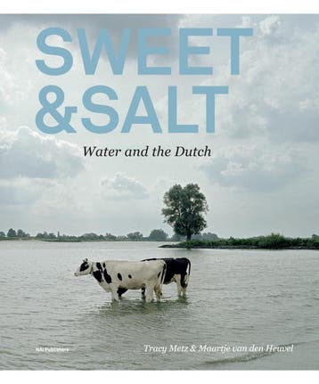 Sweet & Salt | Tracy Metz; Maartje Heuvel | Nieuw, Boeken, Ophalen of Verzenden, Nieuw, Tracy Metz; Maartje Heuvel