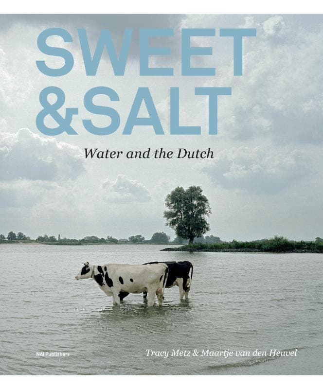 Sweet & Salt | Tracy Metz; Maartje Heuvel | Nieuw, Boeken, Geschiedenis | Wereld, Nieuw, Ophalen of Verzenden