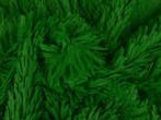 Langharig bont stof – Groen, 120 cm of meer, Ophalen of Verzenden, Polyester, Groen