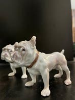 Bing & Grondahl - Jens Peter Dahl-Jensen - Figuur - Bulldog