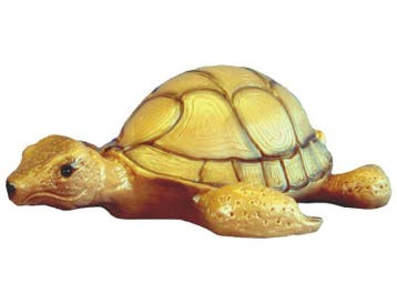 Schildpad, Tuin en Terras, Verzenden, Nieuw