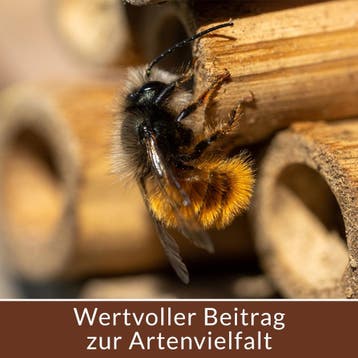 Insectenhotel nestkastje 30,5x9,5x31cm (Voor in Huis), Verzenden, Nieuw