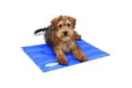 Scruffs Koelmat Hond - Blauw - S: - 50 x 40 cm, Verzenden, Nieuw