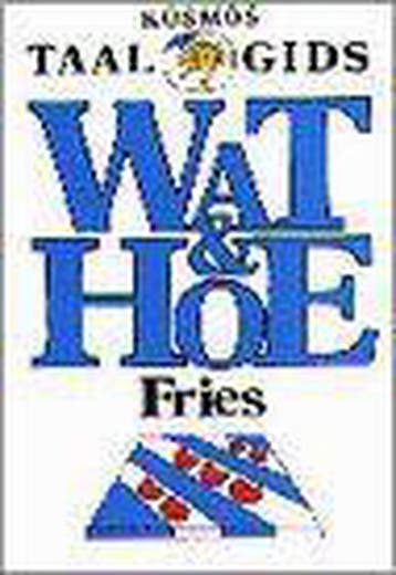 Fries 9789062734160, Verzenden, Zo goed als nieuw