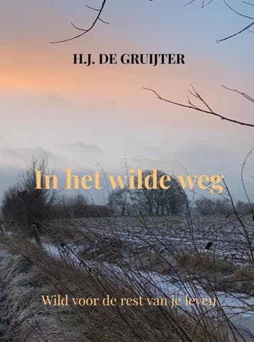 In Het Wilde Weg | H.J. de Gruijter | Nieuw, Ophalen of Verzenden, Nieuw, H.J. de Gruijter