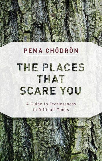 9781611805963 The Places That Scare You: A Guide to Fearl..., Verzenden, Nieuw, Pema Chodron
