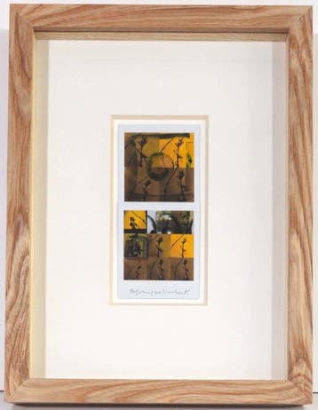 Maurizio Galimberti (1956–) - BiFlowers - 11468