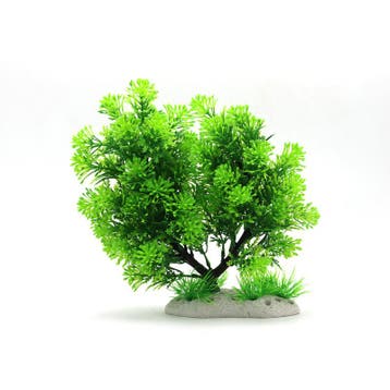 Bonsaiboom 24 cm / aquariumdecoratie As-253 (Hardscaping), Verzenden, Nieuw, Gevuld zeewateraquarium