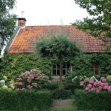 Appartement in Houten gevonden voor €1500,- pm, (Studenten)kamer, Direct bij eigenaar, Houten