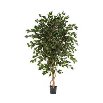 Green Bubble - kunstplant Ficus Exotica - 180 cm - Ø, Ophalen of Verzenden, Nieuw, Binnen