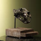 Tijger Schedel Replica Taxidermie Opgezette Dieren By Max, Verzamelen, Ophalen of Verzenden, Nieuw, Wild dier, Opgezet dier