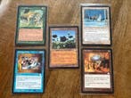 Wizards of The Coast - 66 Card - Magic: The Gathering, Hobby en Vrije tijd, Verzamelkaartspellen | Magic the Gathering, Nieuw