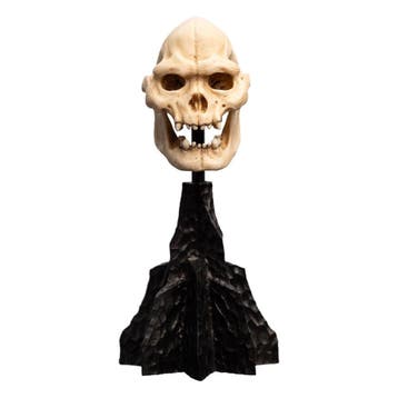 Lord of the Rings Mini Statue Skull of Lurtz 14 cm, Ophalen of Verzenden, Nieuw