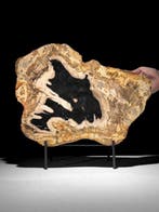 C-Wonderful grote plak versteend hout op een maatwerk