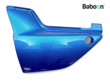 Buddypaneel Links Kawasaki ZRX 1200 R 2001-2006 (ZR1200A1-A6, Verzenden, Gebruikt
