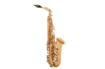 Nieuwe Royal Winds by Borgani altsax | Yamaha-alternatief, Ophalen of Verzenden, Nieuw, Alt