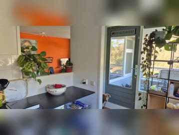Te huur: Appartement Mendelssohnlaan in Arnhem, Gelderland, Appartement, Arnhem
