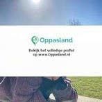 Harmke zoekt een oppas in Gasselte voor 3 kinderen voor 4..., Boeken, Nieuw