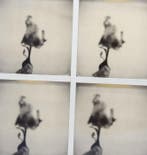 Maurizio Galimberti (1956–) - Flower
