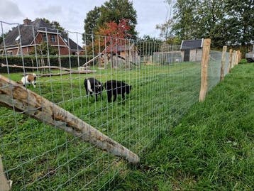 Parco gaas paardengaas, Tuin en Terras, Gaas en Draad, Ophalen, Nieuw, 20 meter of meer, Gaas