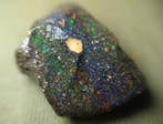 15,9 ct - Topkleur - Honduras zwarte opaal Ruw- 3.18 g