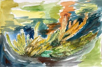 Claire Szilard (1920-2017) - Cacti